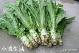 进入九月份，现在农民可以种植哪些蔬菜呢？大蒜开始种植了吗？