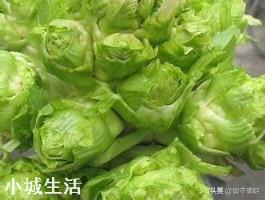 进入九月份，现在农民可以种植哪些蔬菜呢？大蒜开始种植了吗？