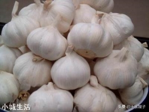 大蒜什么时间下种最好？