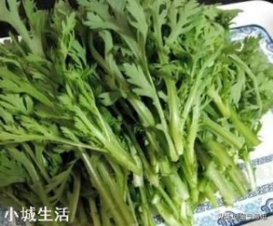 茼蒿生长的适宜温度是怎样的？