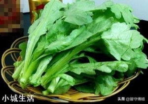 茼蒿生长的适宜温度是怎样的？