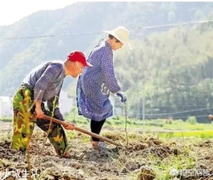 有人说荒田无人耕，一耕有人争，你怎么看？