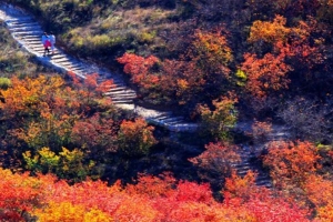 舞彩浅山哪个入口最好：开放登山口