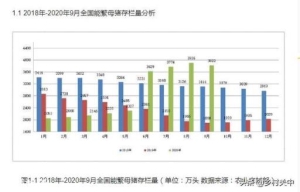 仔猪价格一路跌，明年会跌到500元一头吗？