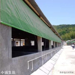 养殖场建在自家确权耕地上，算违章建筑吗？