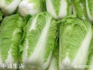 白菜喷醋，1斤醋加多少水？该注意什么？