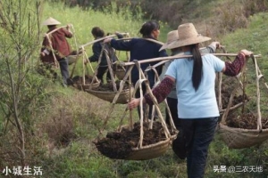 农民都用人粪尿浇菜，专家说不卫生，你怎么看，你想对专家怎么说？