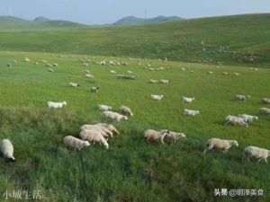 你认为最值得自己推荐的本地美食是什么？好在哪里？