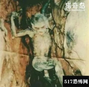 十张实拍神秘生物的照片合集，它们究竟是什么？