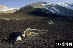 昆仑山死亡谷的真相，气候诡异7月下起暴风雪