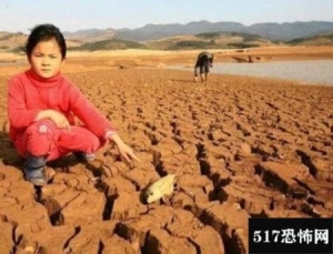 非洲旱地挖鱼是什么鱼，沙漠鱼多少钱一只,肺鱼生活在土地下