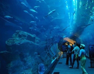 世界十大水族馆排名，亚特兰大乔治亚水族馆是西半球最大水族馆