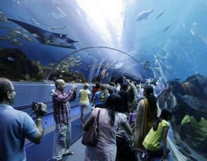 世界十大水族馆排名，亚特兰大乔治亚水族馆是西半球最大水族馆