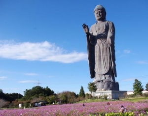 世界十大最高雕像排名，印度统一女神像、中国泉寺大佛吸引游客