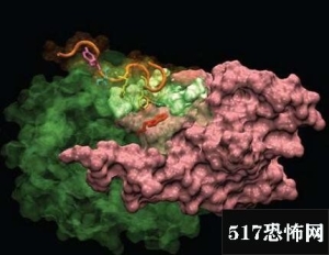 温室效应竟然让远古超级细菌醒了过来，我们的世界比想像中还潜伏著更巨大的危机！