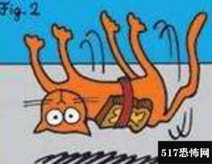 黄油猫悖论