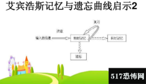 艾宾浩斯错觉的原理