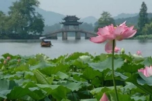 泰州溱湖景点介绍及购票指南