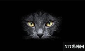 猫仙转世为人的8个特征，猫仙转世最明显的特征/脸尖眼睛大