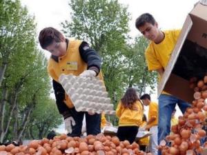 世界上最大的煎蛋 法国西南部Haux小城蒸制煎蛋耗费5214个鸡蛋