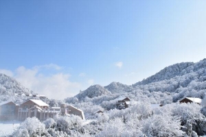 重庆金佛山冬季旅游攻略一日游