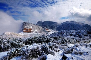 重庆金佛山冬季旅游攻略一日游