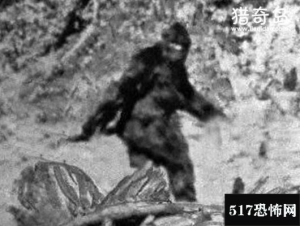 揭秘全球六大神秘野人，澳洲幽威被人类目击次数最多