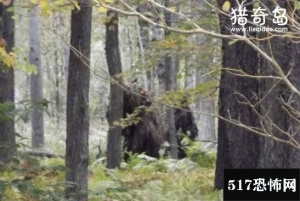 揭秘全球六大神秘野人，澳洲幽威被人类目击次数最多