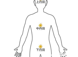 前列腺在哪位置图，肛门内2厘米处摸到的较硬球形(附按摩手法)