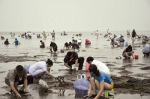 蛏子为什么撒盐就出来(为什么喷盐蚬子会出来)