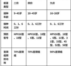 九价疫苗三针一共多少钱，三针在4000元左右(城市收费标准有差异)