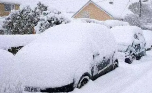 南京元旦会下雪是真的吗？元旦去南京穿什么合适