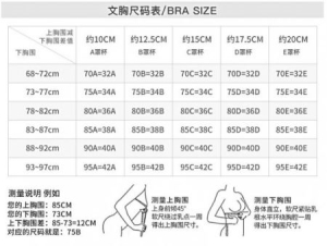 胸围90c罩杯是多少厘米？90c胸围是多少厘米尺码对照表