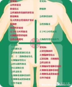 女性阑尾炎的疼痛位置图片，会转移性右下腹按压痛(刚开始上腹肚脐疼)