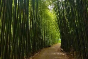 栾川冬季旅游哪儿好玩