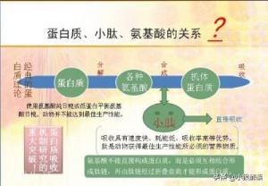 老鹰吃了极毒的蛇为什么不中毒？