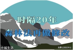 林地承包可以建没有水泥硬化的简易棚吗？为什么？