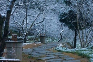 ​酉阳桃花源冬天好玩吗 酉阳什么时候下雪