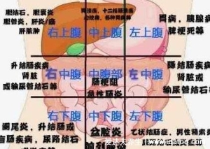 阑尾炎是哪个部位疼位置示意图片，右下腹按压痛(早期上腹肚脐疼)