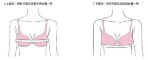 男生想象中的罩杯尺码和女生实际的胸部罩杯尺寸对比图片