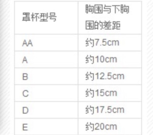 男生想象中的罩杯尺码和女生实际的胸部罩杯尺寸对比图片