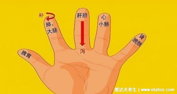 手部反射区图解与疾病高清图大全，帆叶网，手部6大经络清晰图片