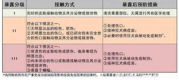 如何样判断用不用打狂犬疫苗，要看伤口程度二级三级要打(10种情况不用)