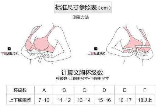 胸围80c是多大？胸围80c是多少厘米尺码对比表？[多图]