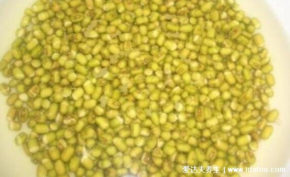 绿豆芽如何发豆芽的步骤，只需一个饮料瓶5个步骤超简单