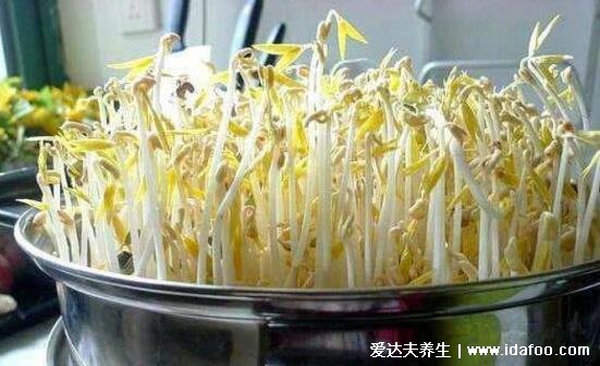 绿豆芽如何发豆芽的步骤，只需一个饮料瓶5个步骤超简单