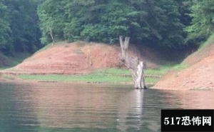 福建大金湖水怪谜团，巨型鳡鱼一年吃掉百万淡水鱼