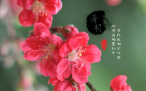 清明节先上坟还是在家祭拜2