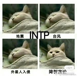 INTP型人格适合的恋人分析，INTP是最不好的一种人格吗？