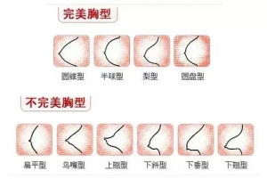 女人的乳房是什么样的图片？女性的胸部有哪些形状？